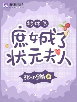 《被休后，庶女成了状元夫人》小说封面