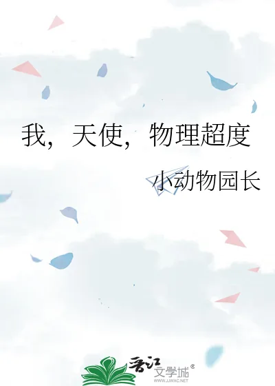 《我，天使，物理超度》小说封面