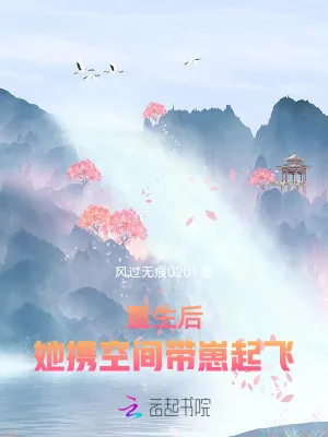 《重生后，她携空间带崽起飞》小说封面