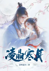 《凌晶寒月》小说封面