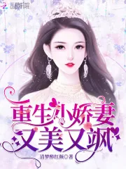《重生小娇妻又美又飒》小说封面