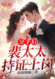 《分手后，裴太太持证上岗》小说封面
