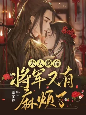 《夫人救命，将军又有麻烦了》小说封面