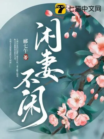 《闲妻不闲》小说封面