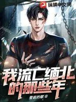 《我流亡缅北的那些年》小说封面