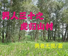 《男人三十之，虎归山村》小说封面