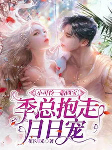 《小可怜一胎四宝，季总抱走日日宠》小说封面