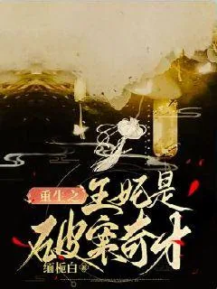 《重生之王妃是破案奇才》小说封面