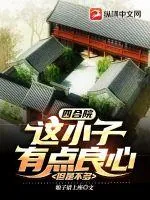 《四合院：这小子有点良心，但是不多》小说封面