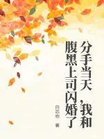 《分手当天，我和腹黑上司闪婚了》小说封面