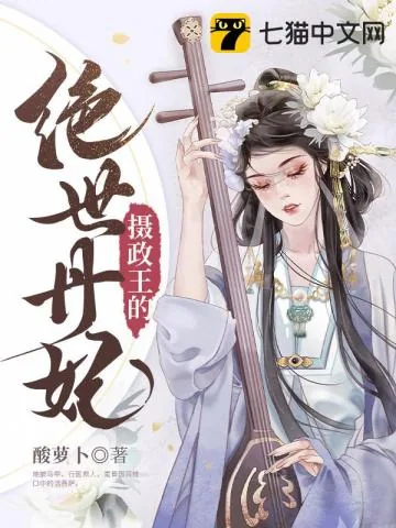 《摄政王的绝世丹妃》小说封面