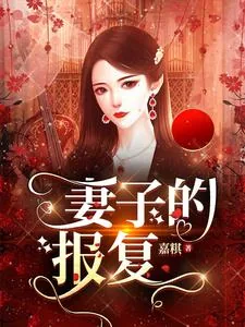 《妻子的报复》小说封面