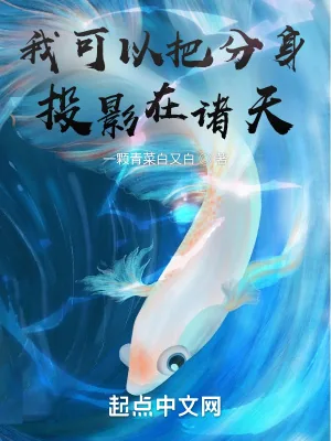 《我可以把分身投影在诸天》小说封面