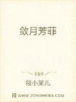 《敛月芳菲》小说封面