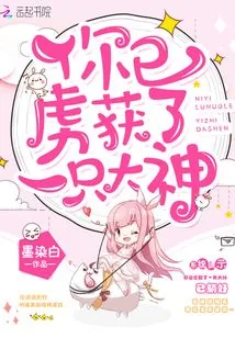 《你已虏获了一只大神》小说封面
