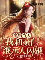 《离婚当天,我和豪门继承人闪婚了》小说封面