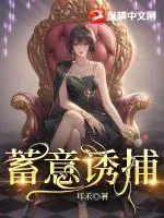 《蓄意诱捕》小说封面
