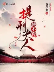 《提刑大人使不得》小说封面