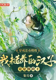 《穿成恶毒嫂嫂，我糙养的汉子竟是摄政王》小说封面