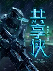 《共享侠》小说封面