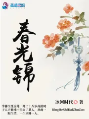 《春光锦》小说封面