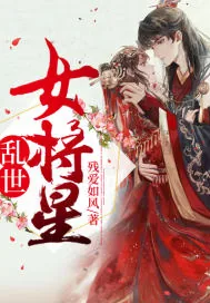 《乱世女将星》小说封面