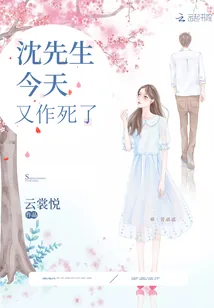 《沈先生今天又作死了》小说封面