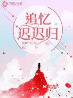 《追忆迟迟归》小说封面