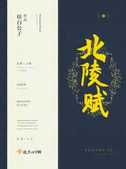《北陵赋》小说封面