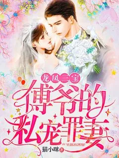 《龙凤三宝：傅爷的私宠罪妻顾奈卿》小说封面