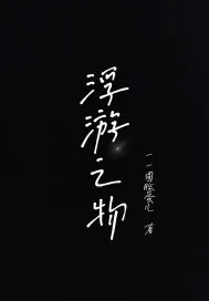 《浮游之物》小说封面