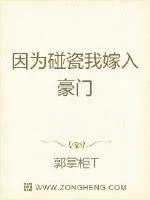《因为碰瓷我嫁入豪门》小说封面