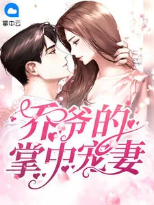 《路棉心》小说封面