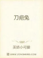 《刀疤兔》小说封面