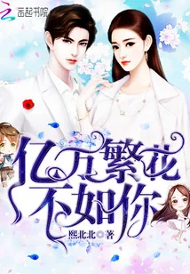 《亿万繁花不如你》小说封面