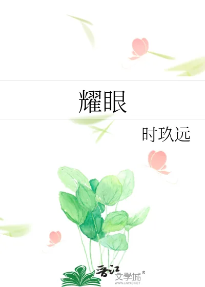 《耀眼》小说封面
