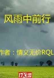 《风雨中前行》小说封面
