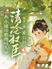 《小通房憨傻可人，清冷权臣难自持》小说封面