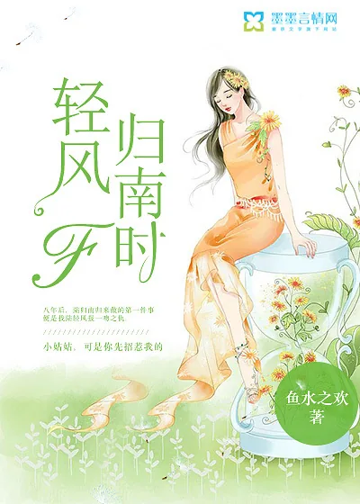 《轻风归南时》小说封面