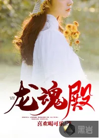 《龙魂殿》小说封面