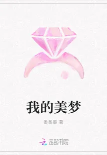 《我的美梦》小说封面