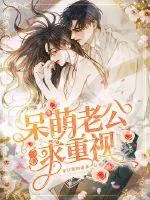 《呆萌老公一心求重视》小说封面