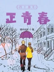 《四十那年正青春》小说封面