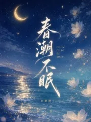 《春潮不眠》小说封面