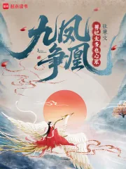 《九凤争凰:男妃太多也心累》小说封面