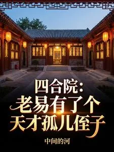 《四合院：老易有了个天才孤儿侄子》小说封面