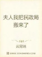 《夫人我把民政局搬来了》小说封面