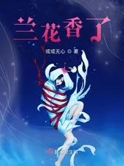 《兰花香了》小说封面