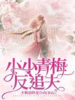 《小小青梅反追夫》小说封面