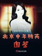 《北京中年精英图鉴》小说封面